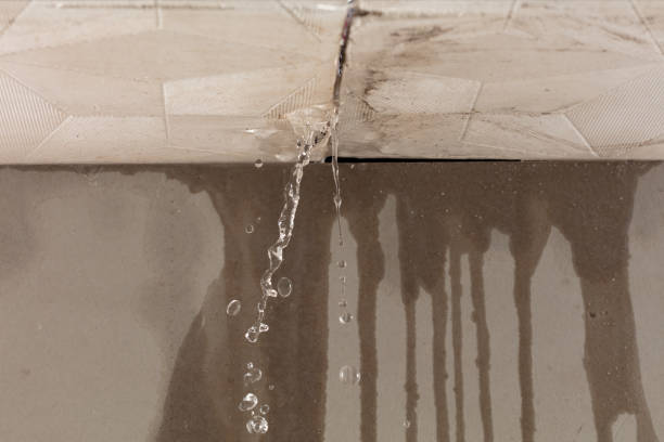 Professional Burst Pipe Cleanup technician working in Nazareth, MI